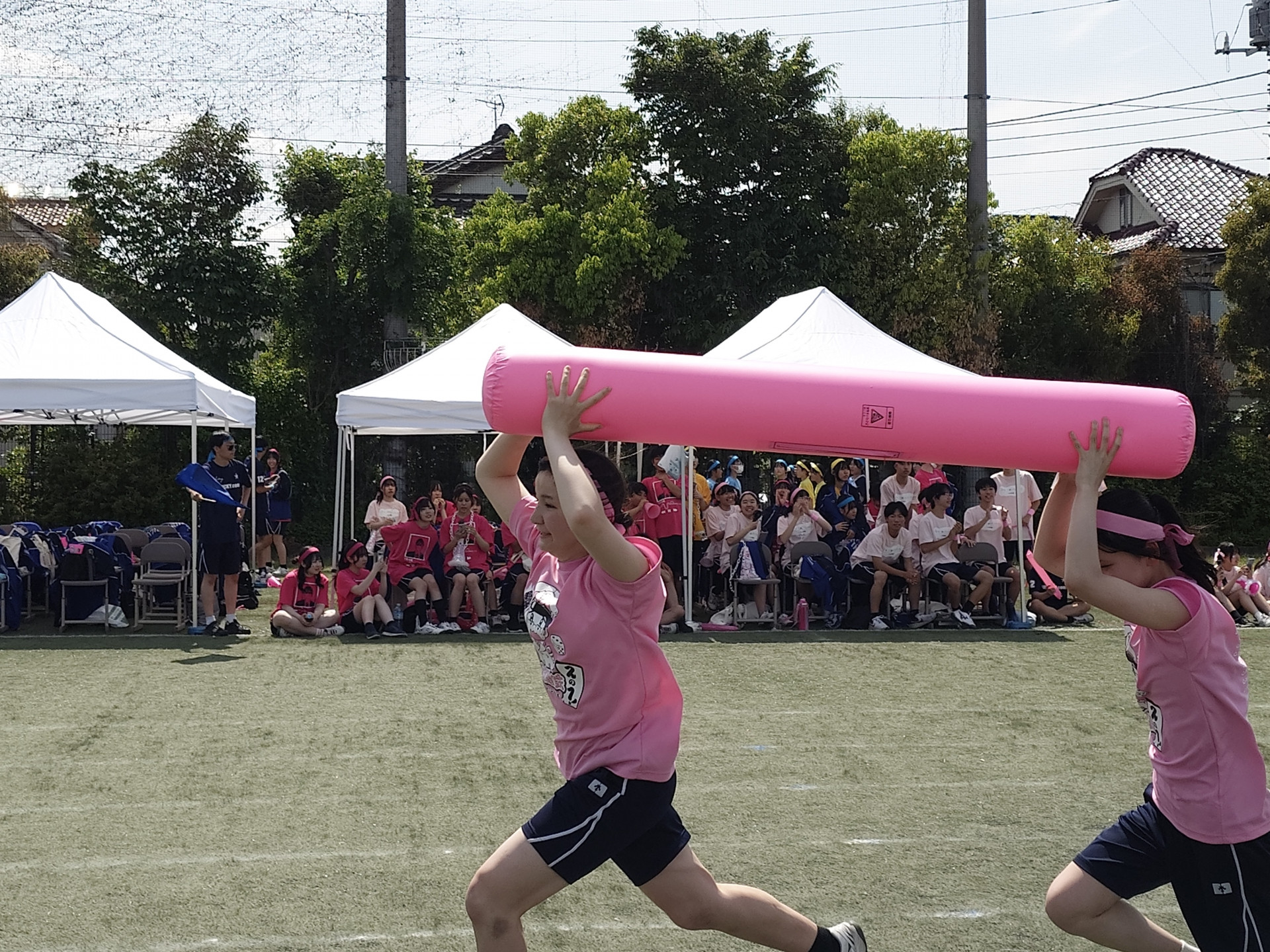 20250514_134117.JPG