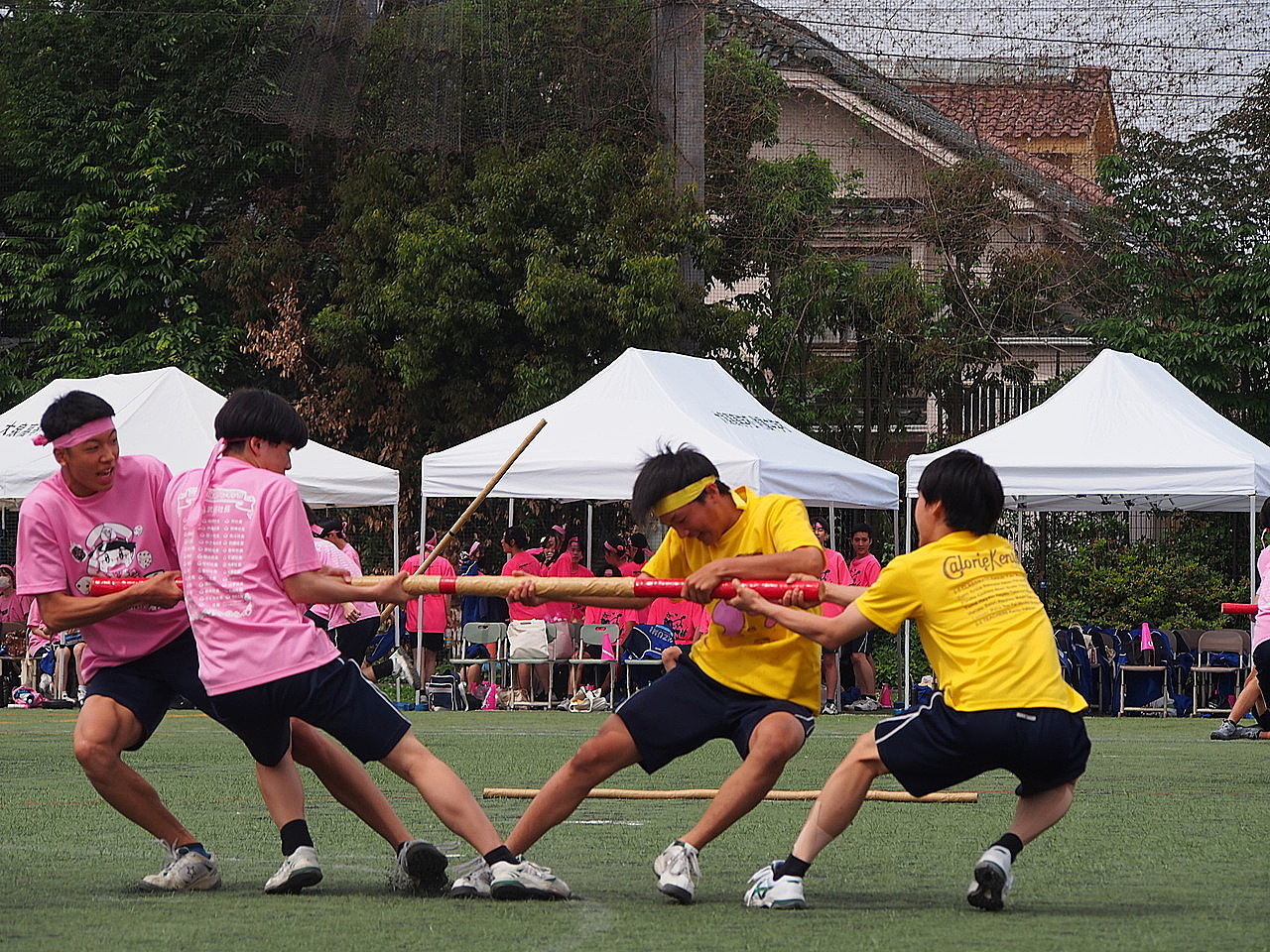 P1011687_sharp.JPG