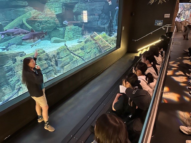 写真⑦