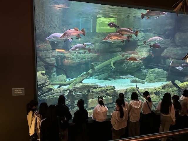 写真⑧