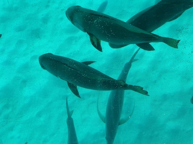 写真⑫