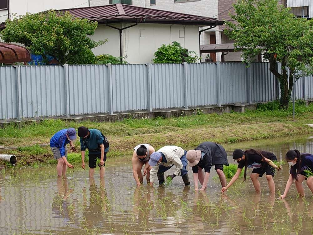 田植え.JPG