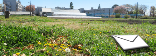 学校説明会・授業公開等のページ