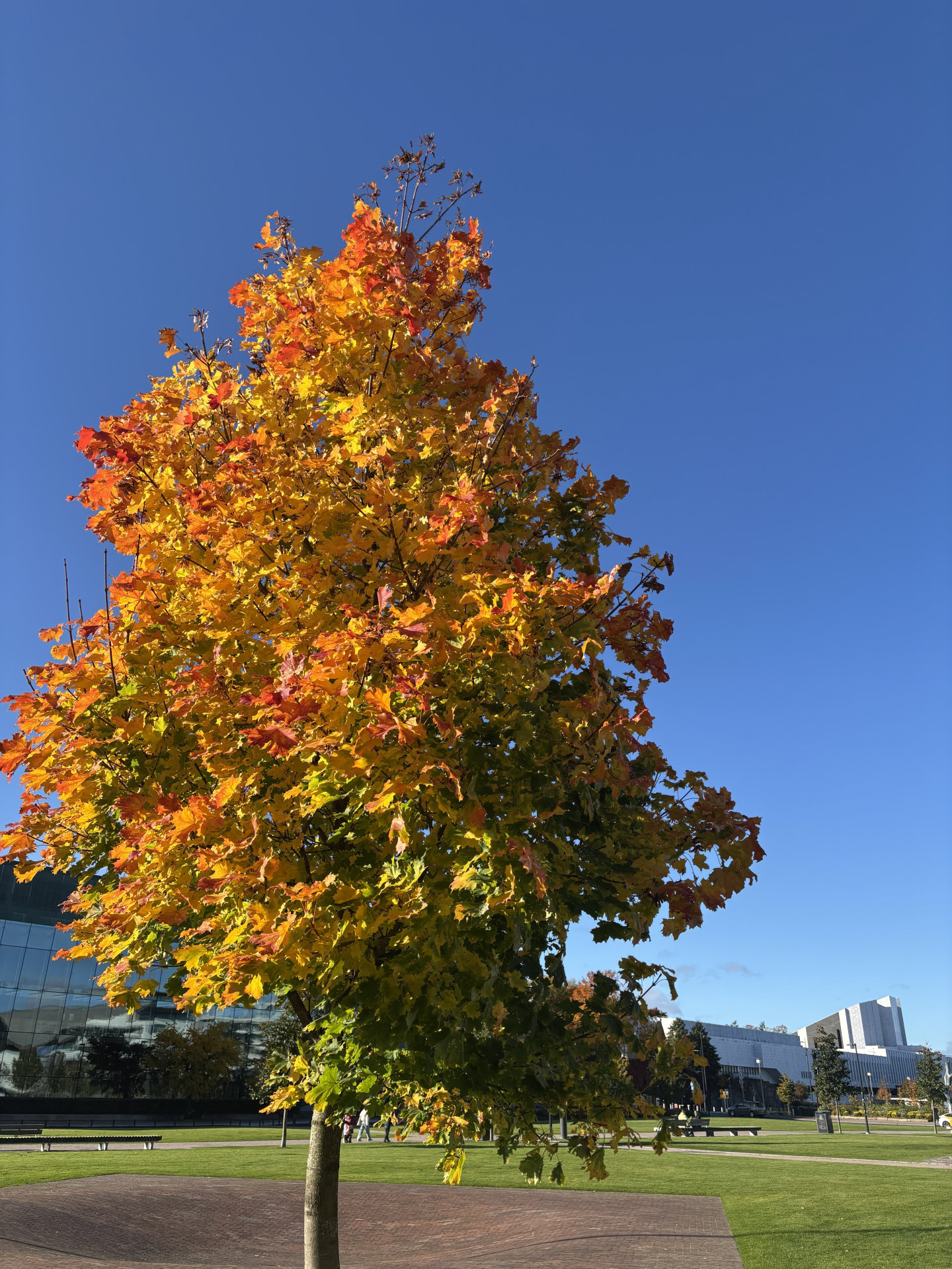 20251011_115818101_iOS