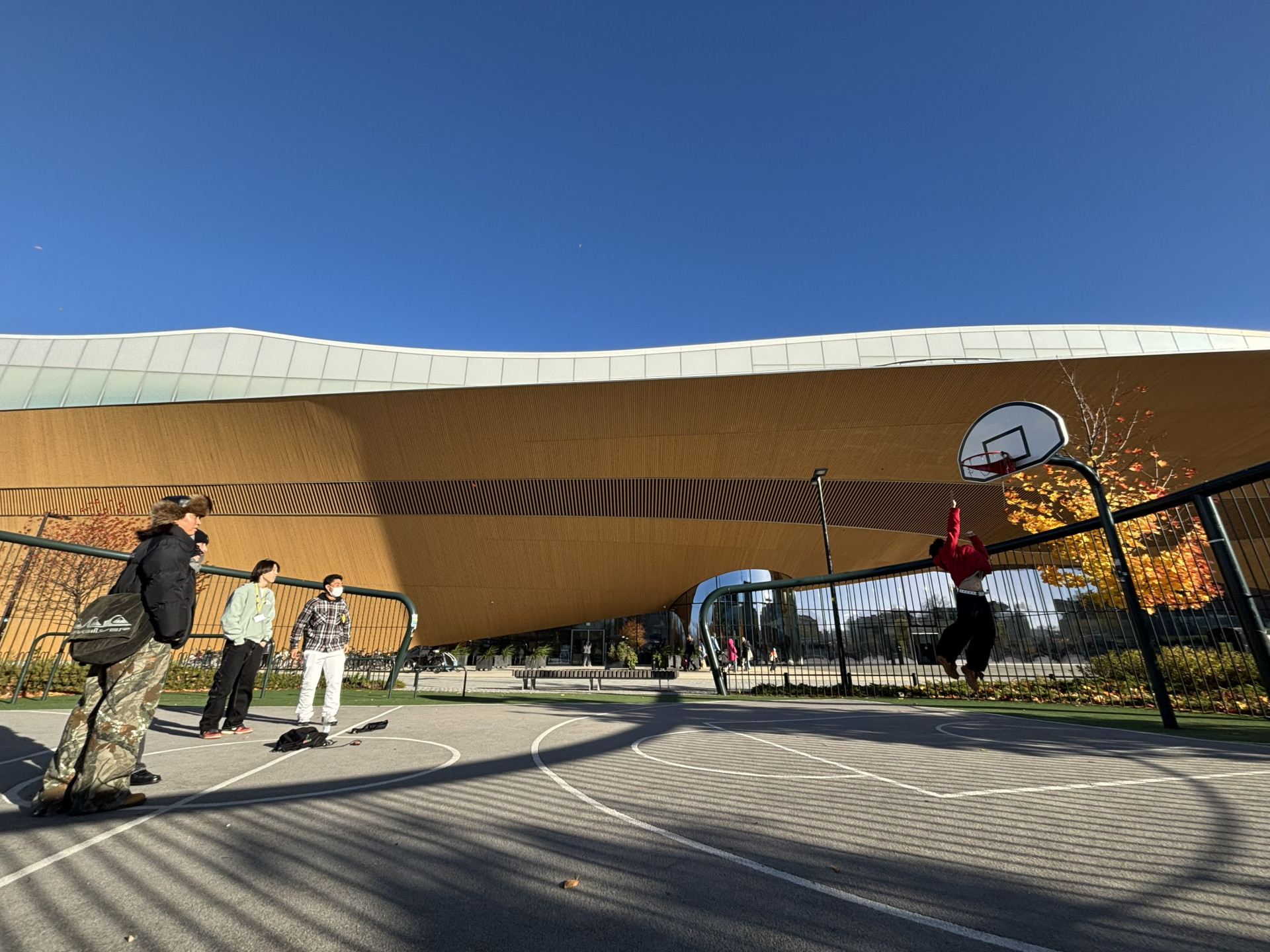 20251011_120019902_iOS