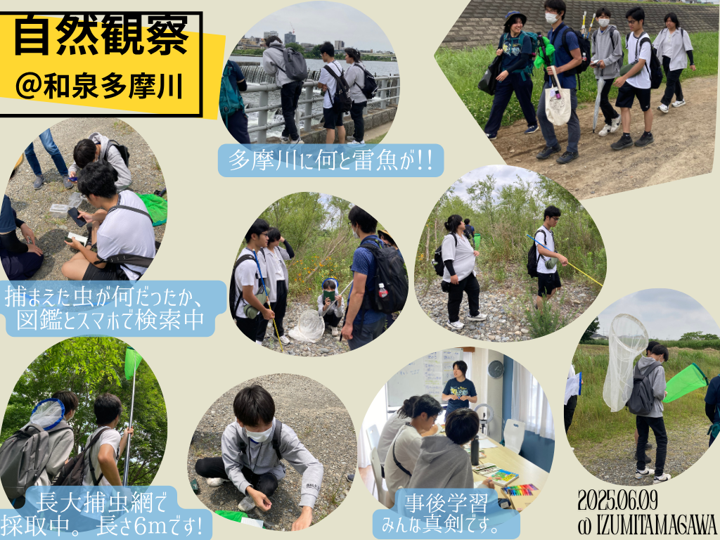SIP6月9日