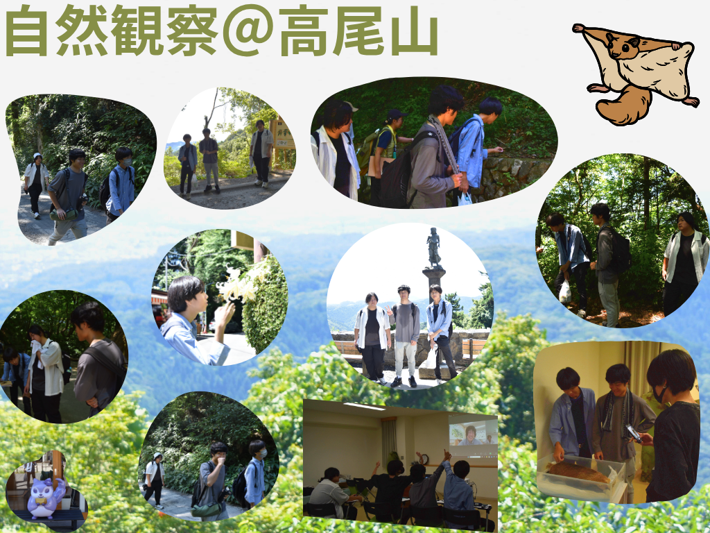 SIP高尾0729