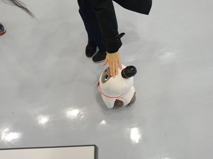 接遇するわたあめ(仮)