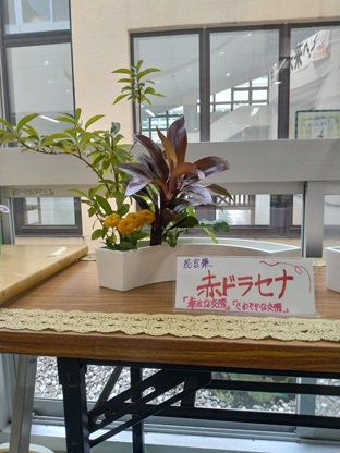 華道部4