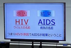 aidsピアe②