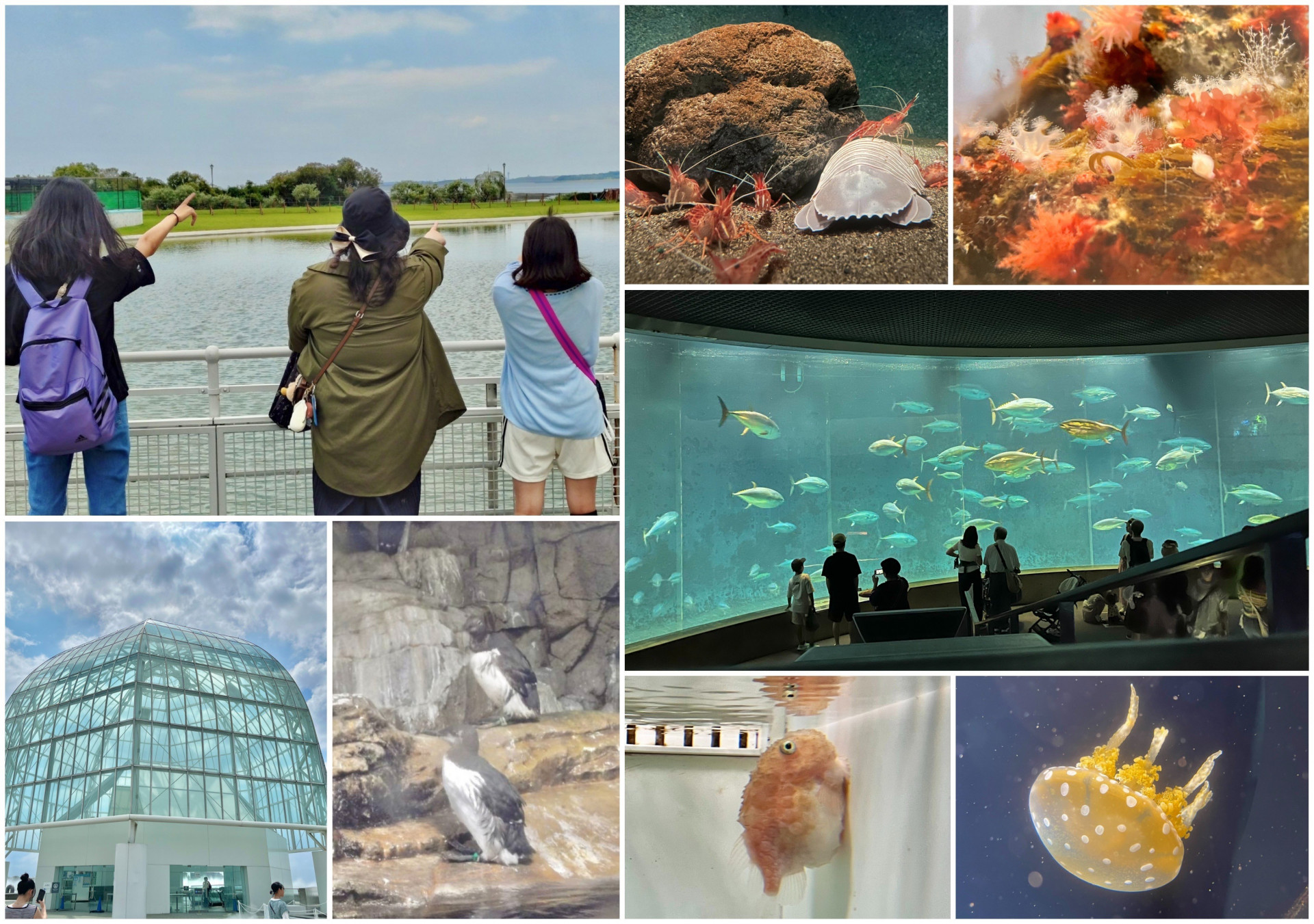 水族園まとめ
