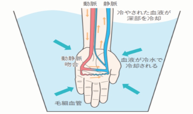 熱中症対策