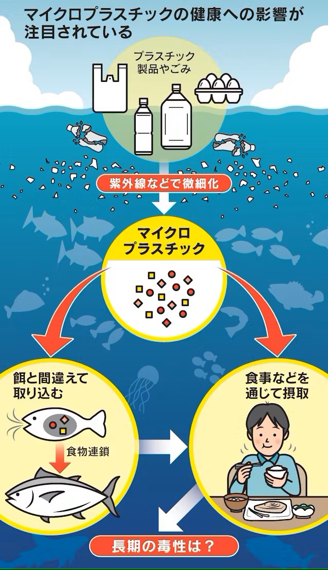 2日本経済新聞