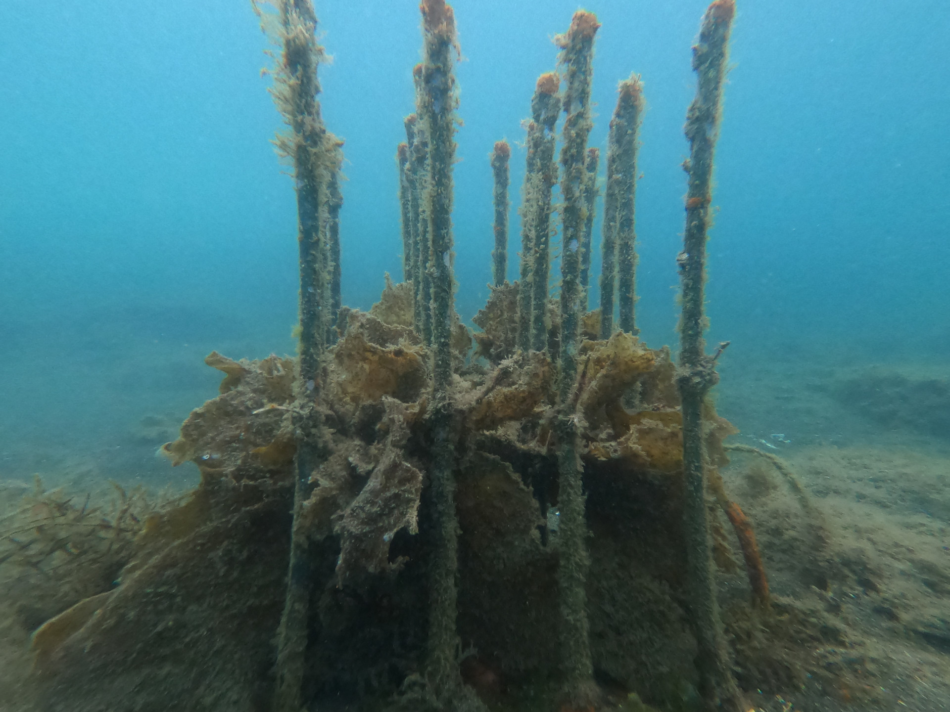 GOPR1263.JPG