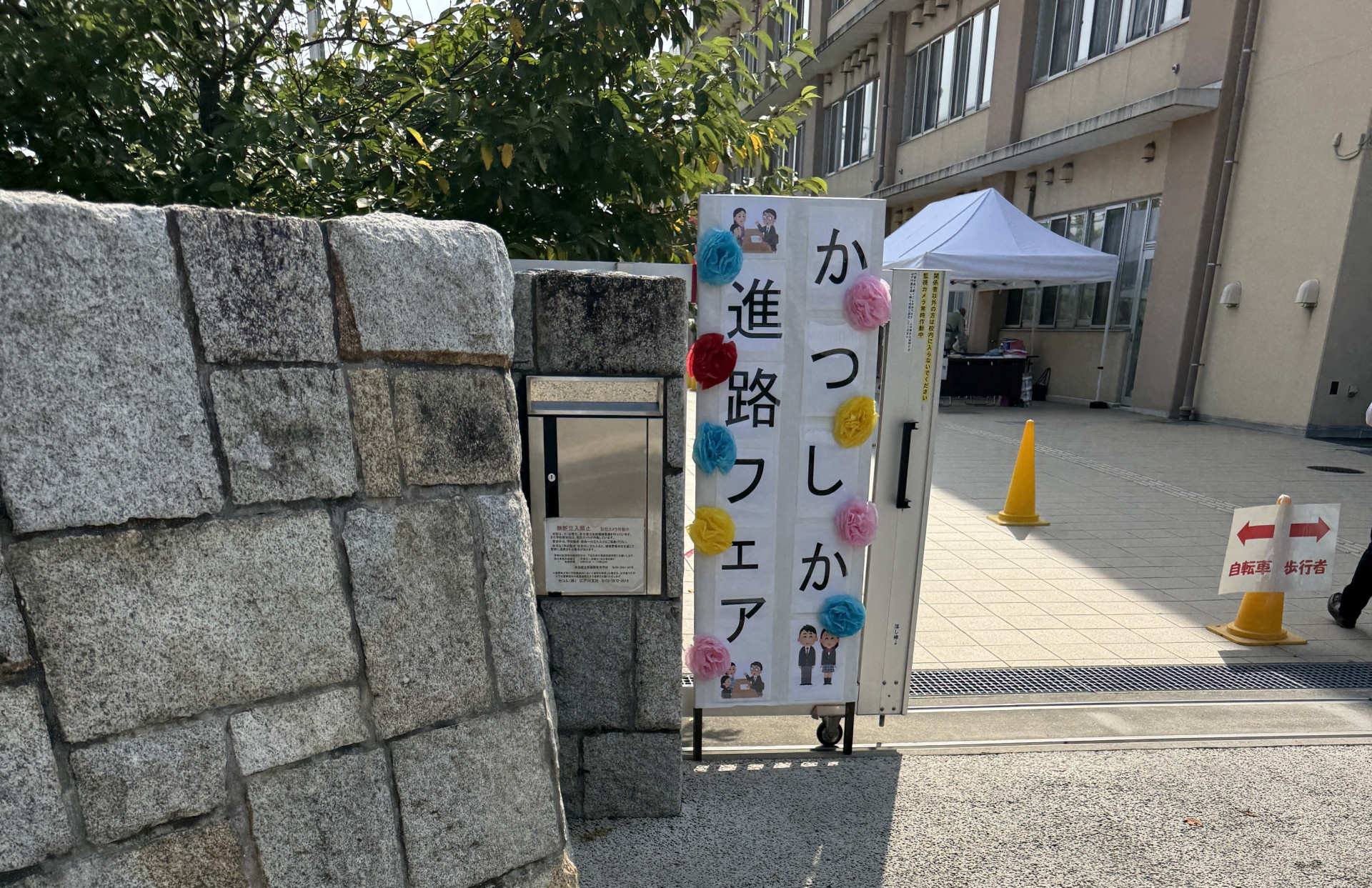 Image4