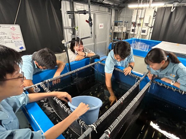 海洋生物・資源増殖