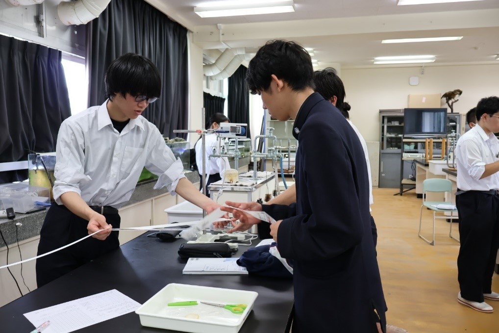 news_240521_5