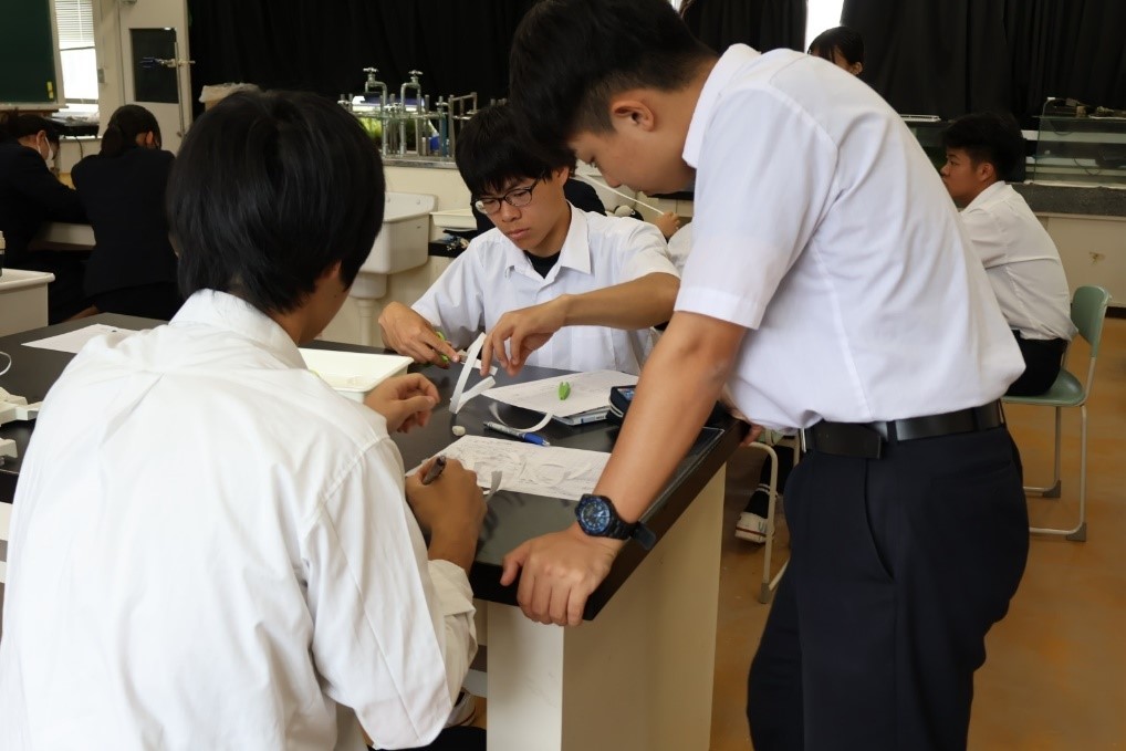 news_240521_6