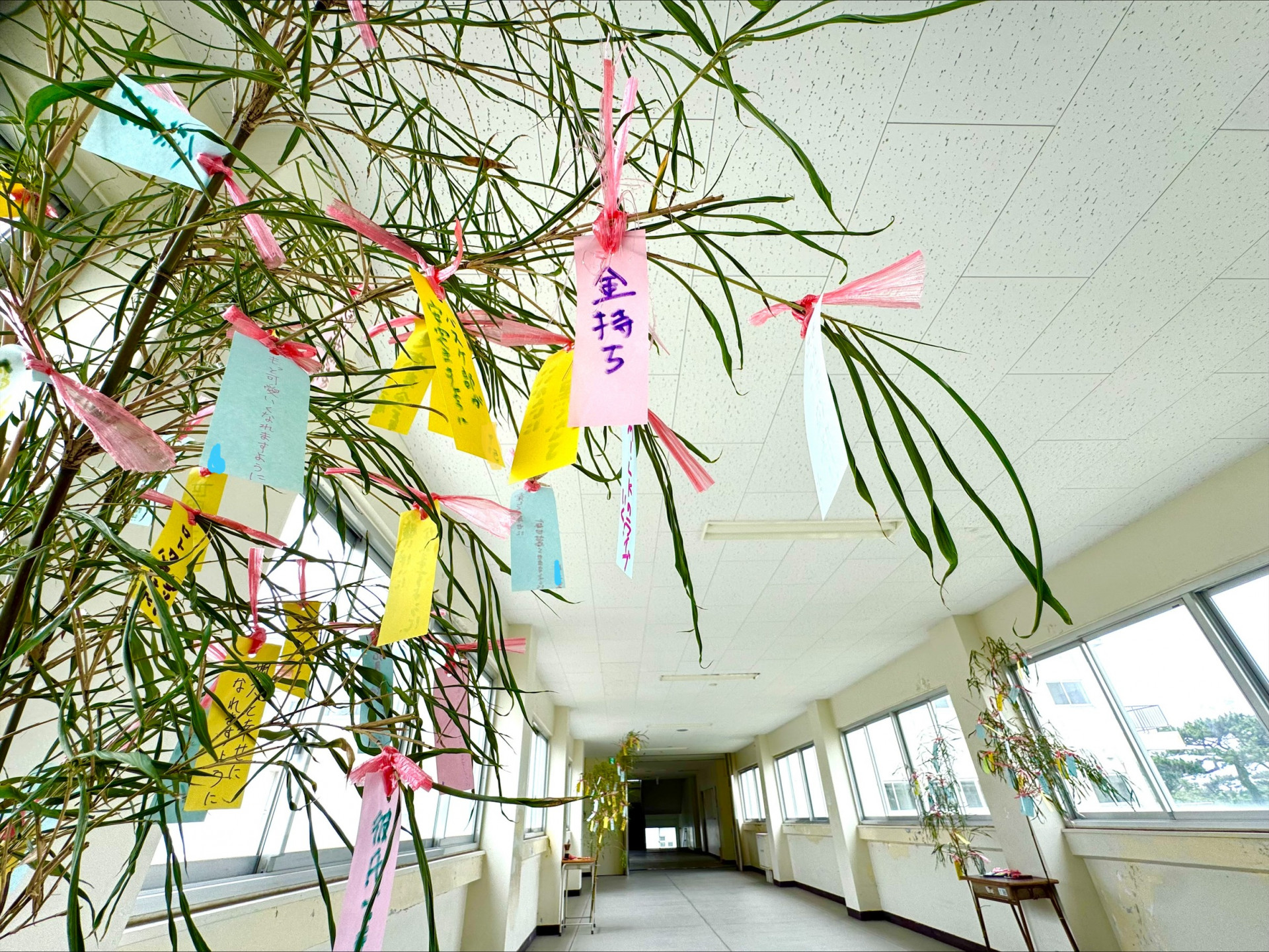 tanabata2026_2