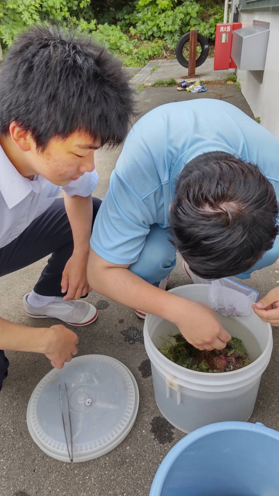 海洋生物のお世話_04