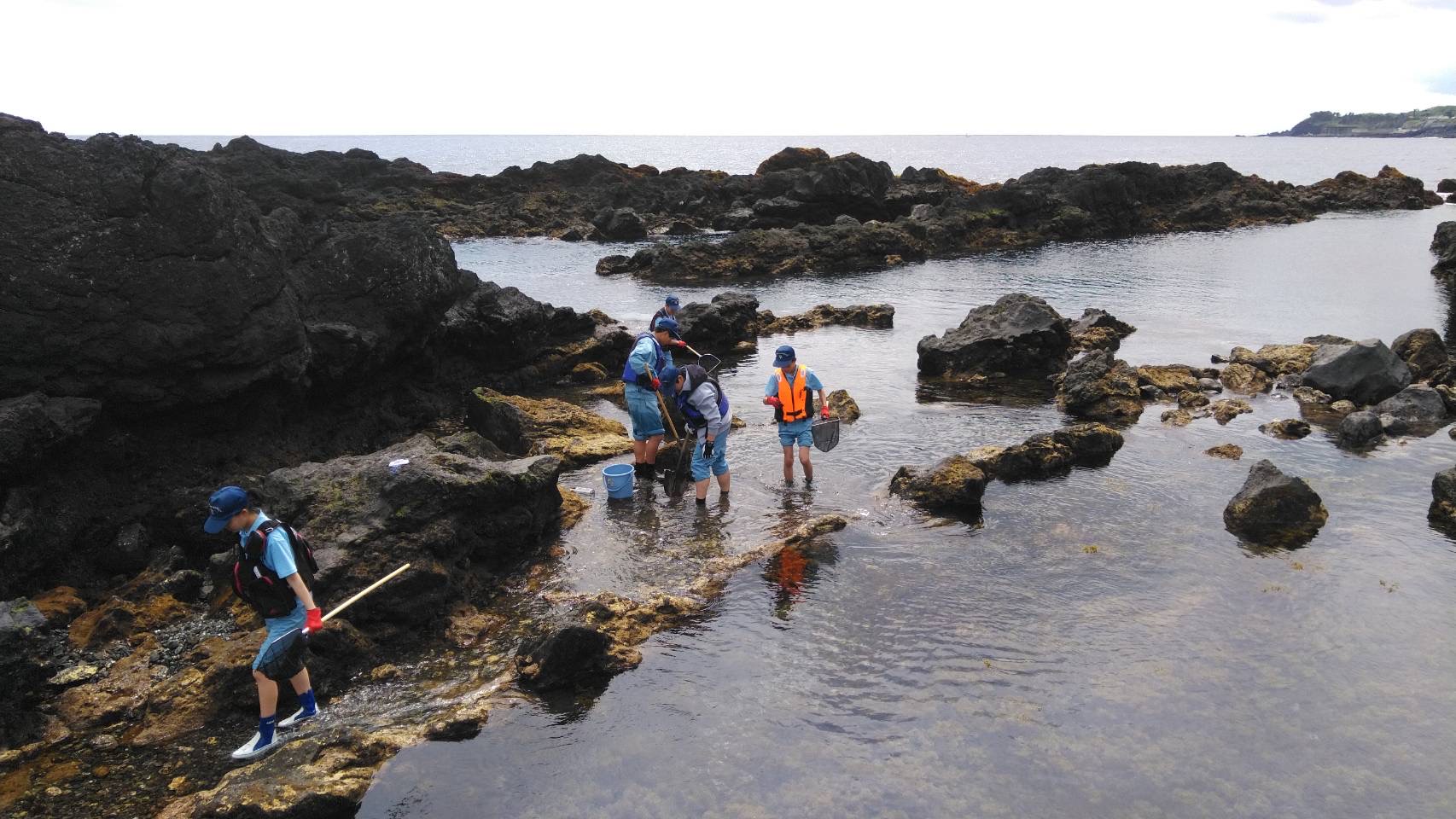 海洋生物のお世話_05