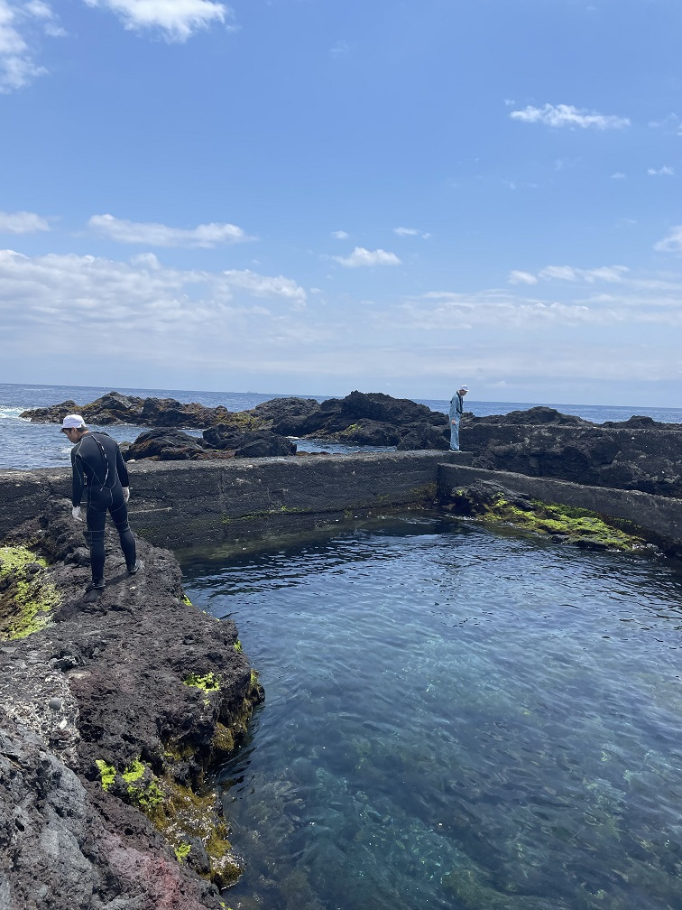 課題研究（海洋生物）_10