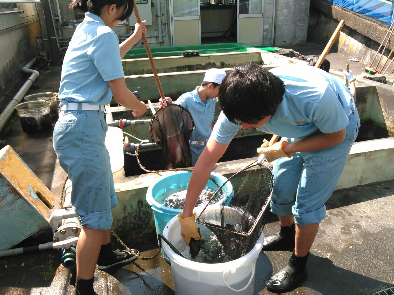 海洋生物・資源増殖