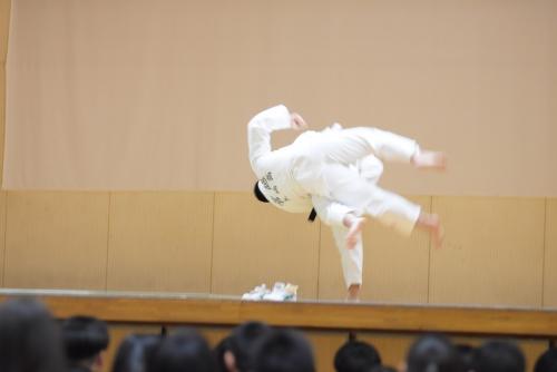 DSC_6618.JPG