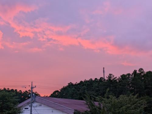PXL_20250723_095803867