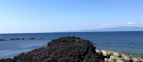 地域の特色を生かした活動の写真