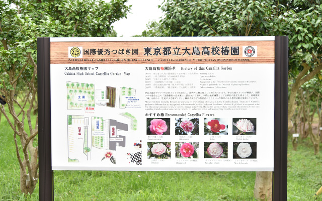 国際優秀つばき園認定　椿園の画像