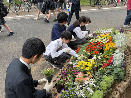 20260523_hitohana1