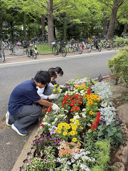 20260523_hitohana5