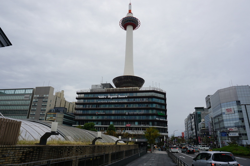DSC02559.JPG