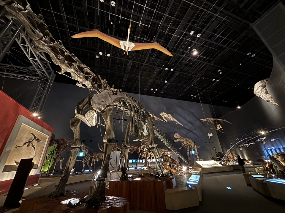 Image5_k0955694metro.ed.jp