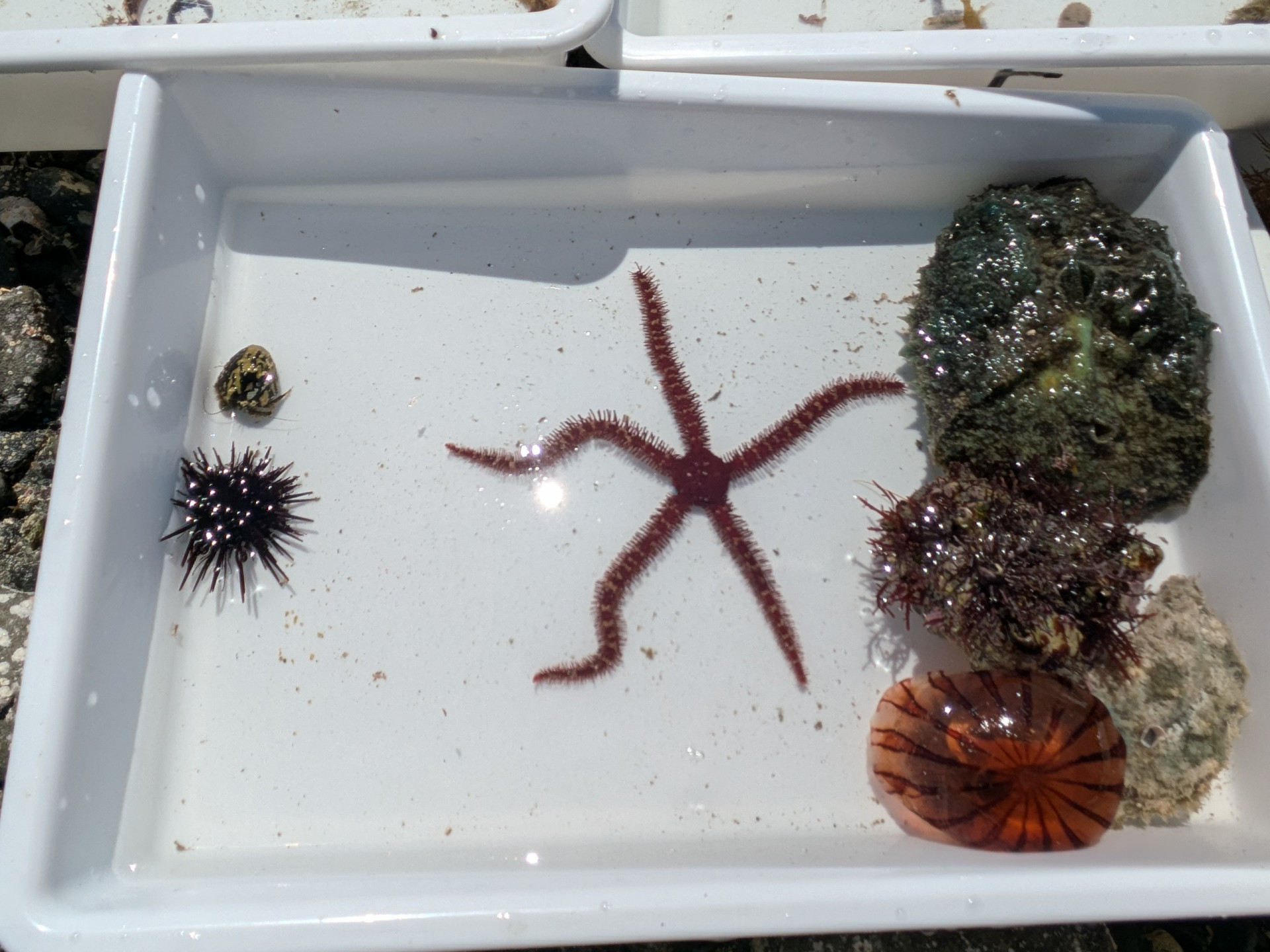 PXL_20250429_015146921.MP