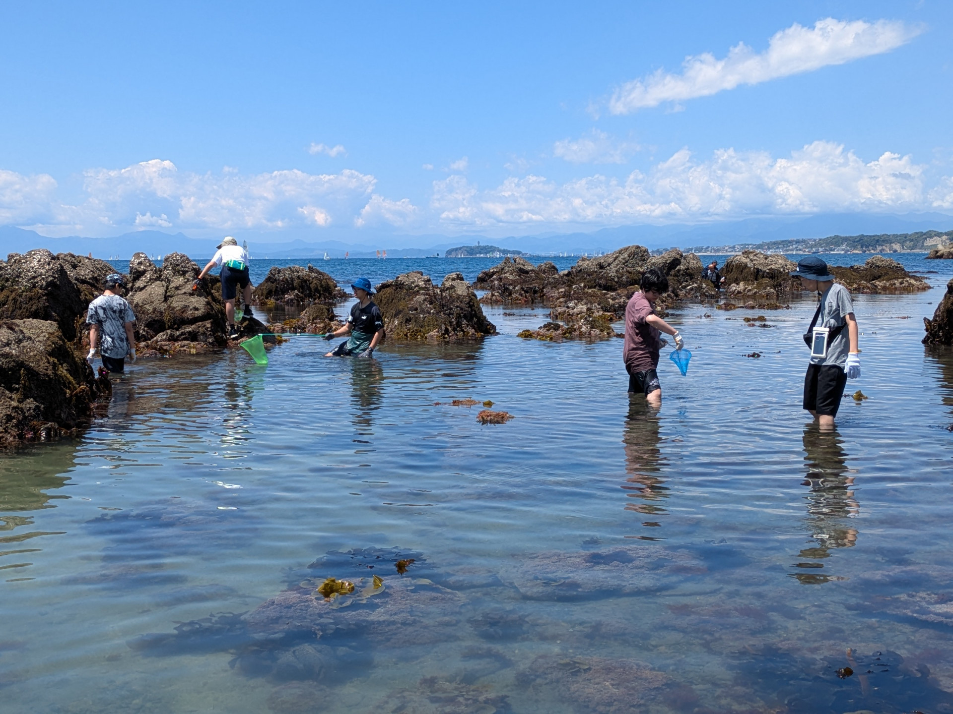 PXL_20250429_023353817.MP