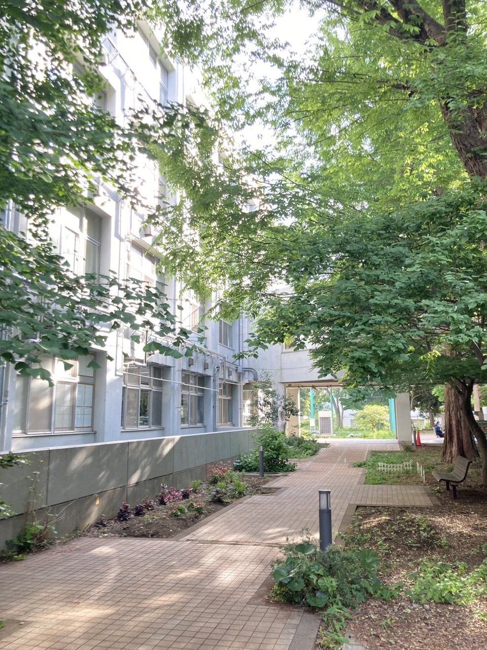 imgae5_k0955694metro.ed.jp