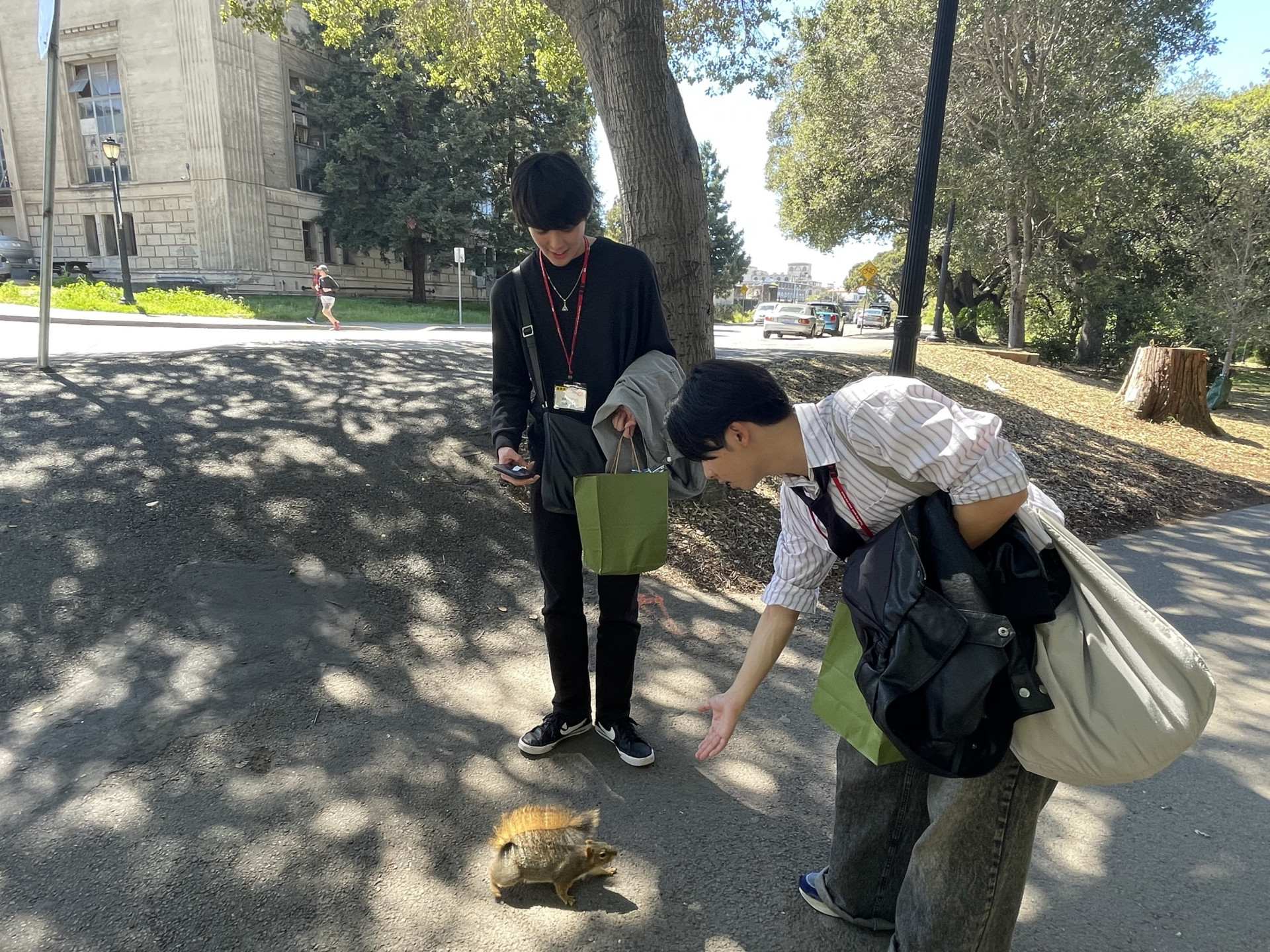 アメリカ_D3公園2