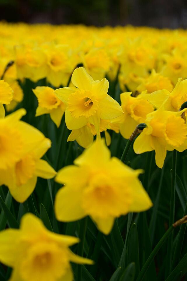 メディア1_k0955694metro.ed.jp