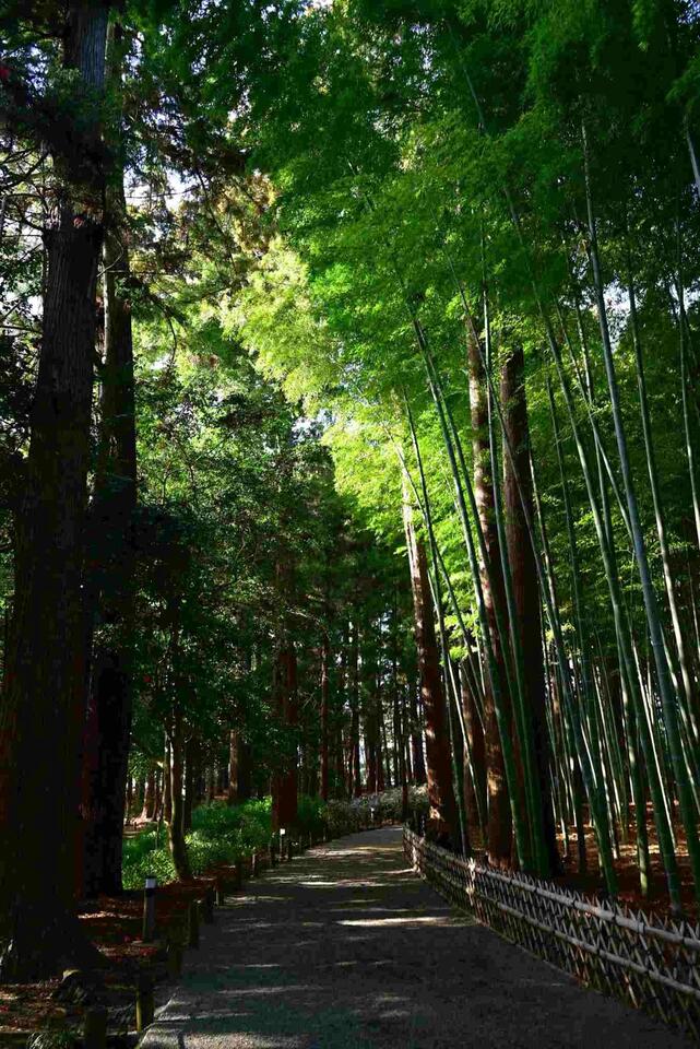 メディア2_k0955694metro.ed.jp