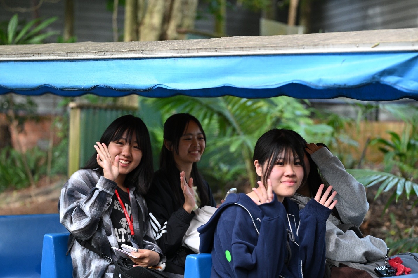 画像7