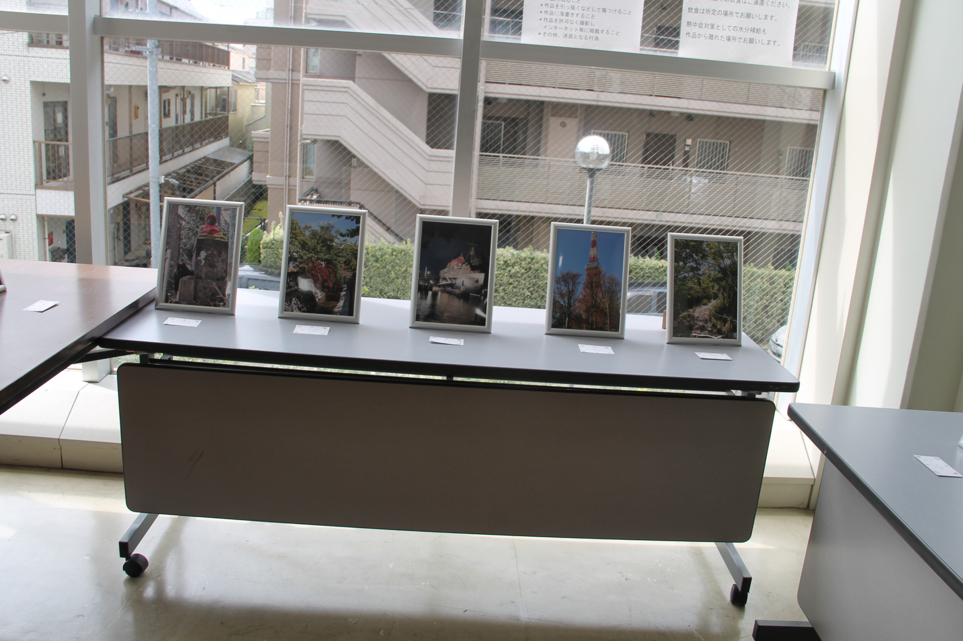 写真部IMG_8990.JPG