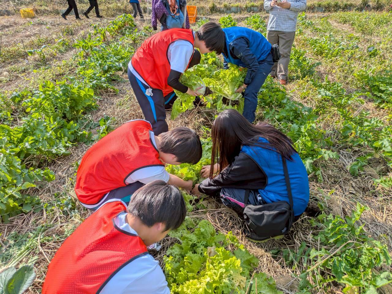 収穫LINE_ALBUM_1115収穫祭_251108_72