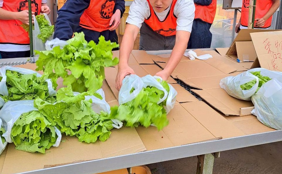 店頭並べるLINE_ALBUM_1115収穫祭_251108_6