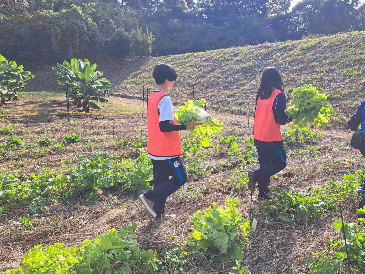 運ぶLINE_ALBUM_1115収穫祭_251108_29