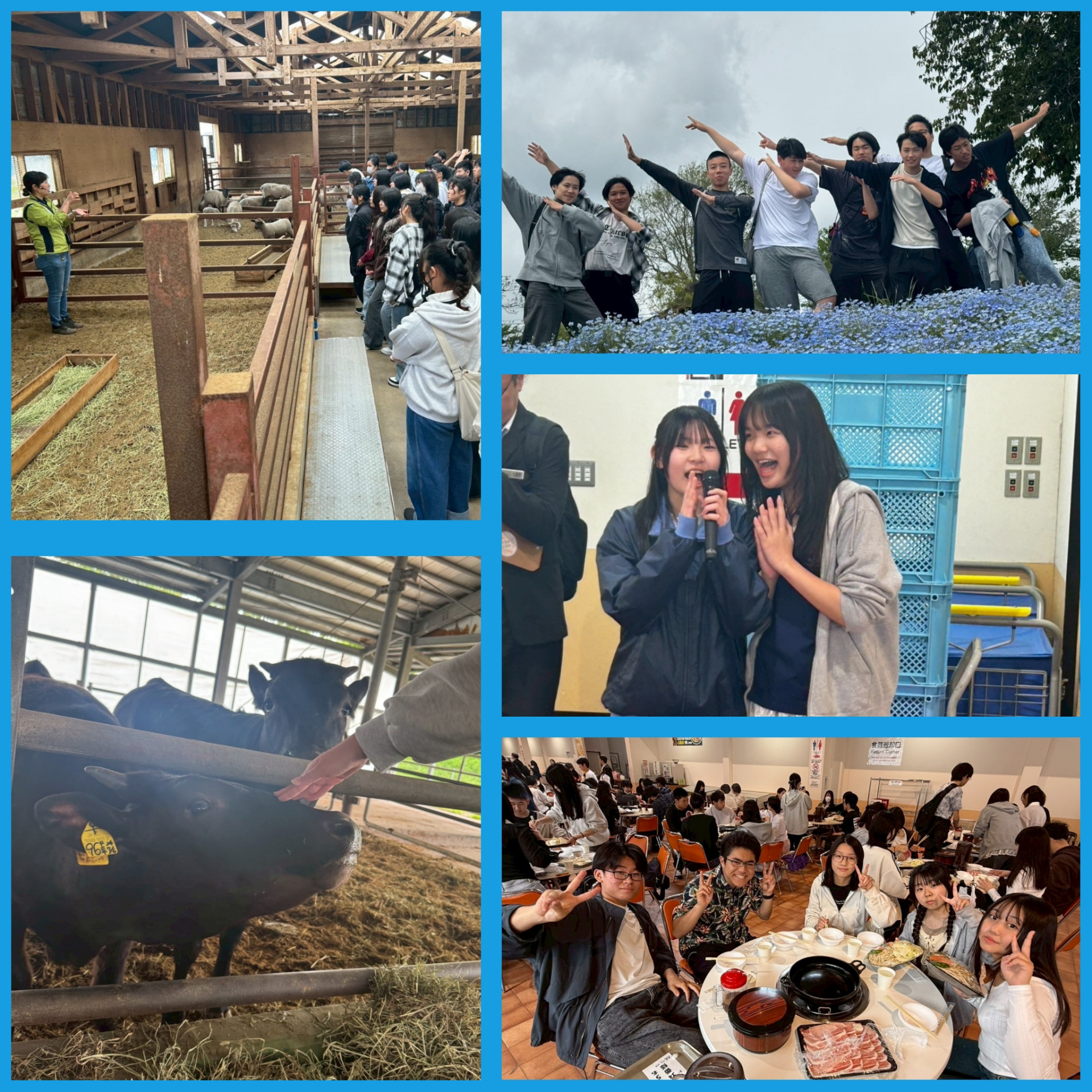 PhotoCollage_1747136947213
