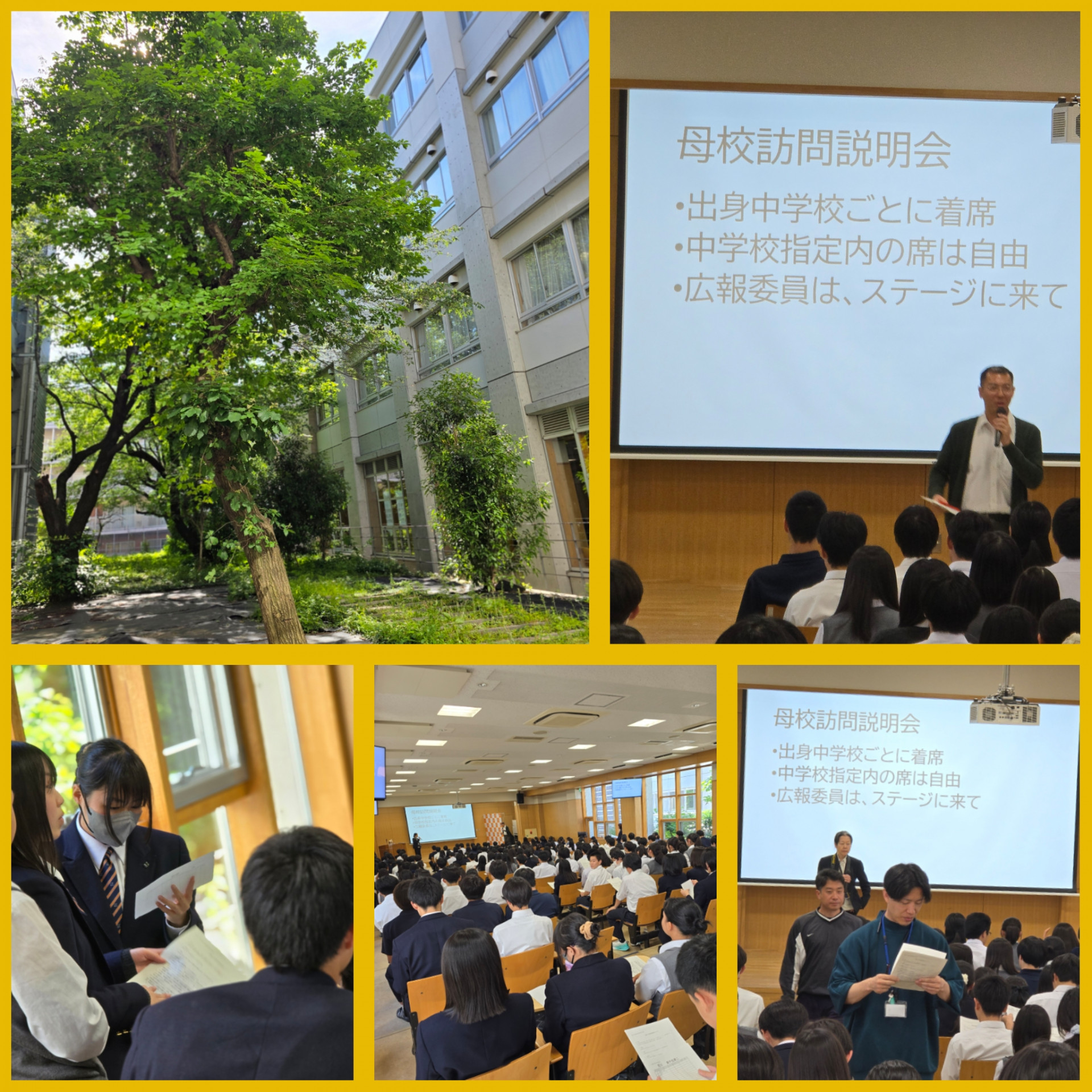 PhotoCollage_1748412523107