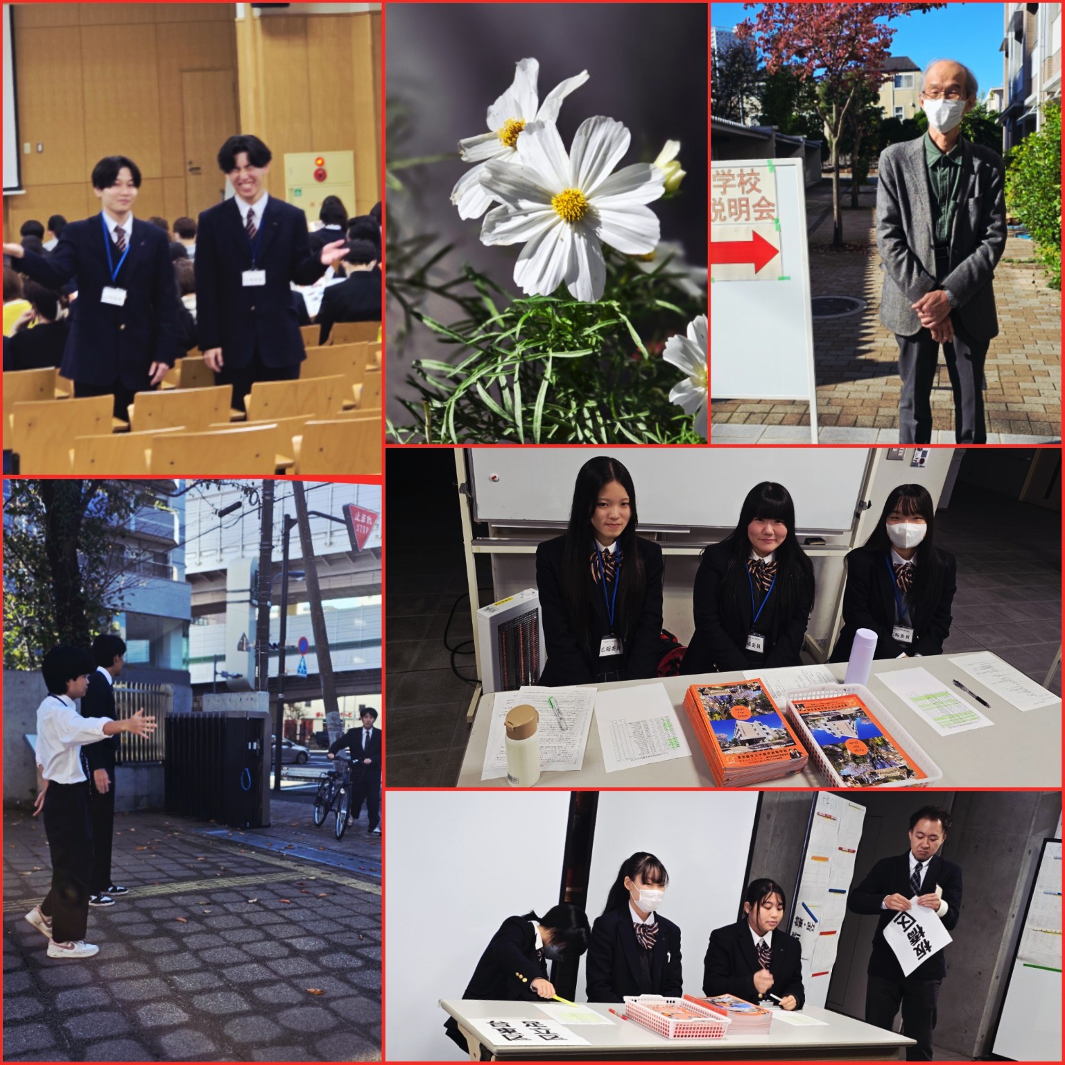 PhotoCollage_1762152457899_copy_1536x1536