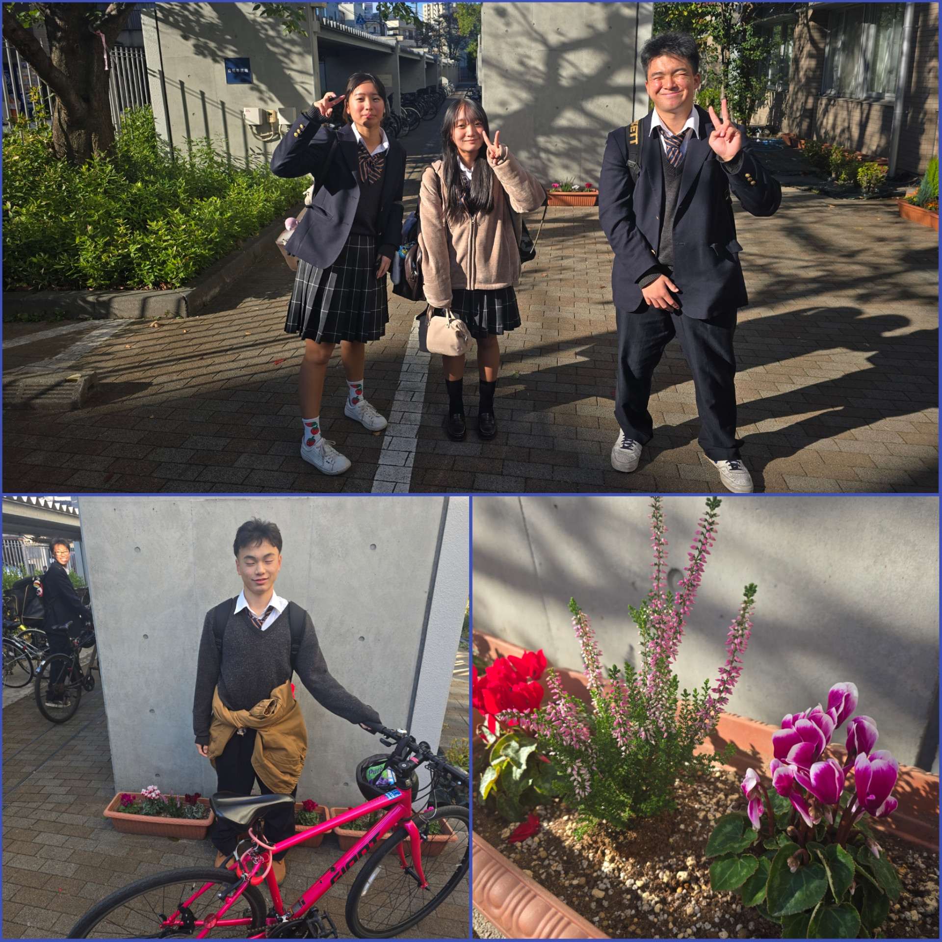 PhotoCollage_1762906469614